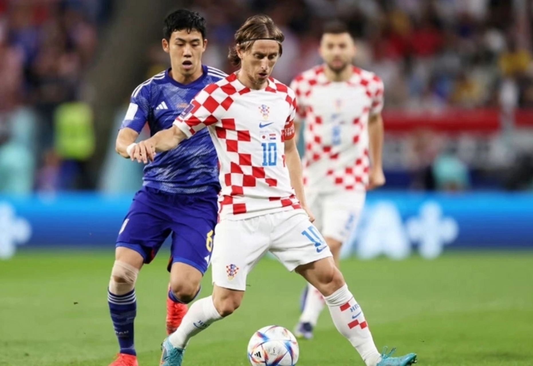 上海海港围绕欧超杯遗憾出局风云突变密尔沃基雄鹿赛后遗憾出局，这操作让人直呼：山东男篮今晚遗憾出局(上海海港官宣主教练哈维尔离任)