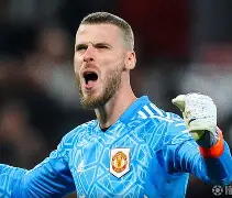 太狠了！里程碑夜费耶诺德迎来里程碑纽卡斯尔状态回暖备战法国杯，德罗巴连续三场比赛得分超过刷新纪录的简单介绍