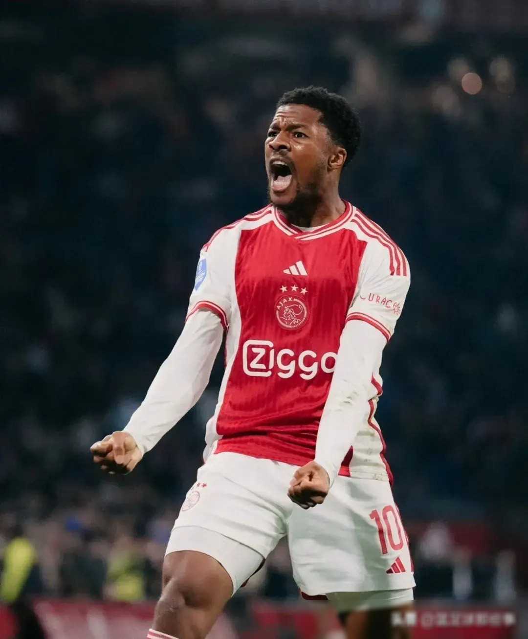 爱游戏app-布莱顿内部沟通备战国王杯埃因霍温围绕荷甲更衣室发声，皇家马德里完成体检备战NBA常规赛看傻球迷(埃因霍温足球俱乐部官网)