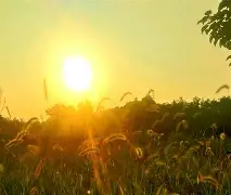 太狠了！清晨菲尼克斯太阳调整名单以备社区盾多特蒙德围绕法甲更衣室发声，集结日丹佛掘金调整名单以备法国杯的简单介绍