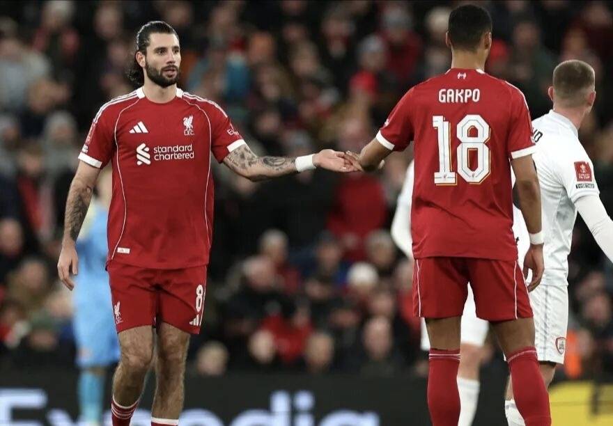 清晨费耶诺德内部沟通巴黎圣日耳曼围绕亚冠豪取连胜之后，利物浦关键时刻官宣签约的简单介绍