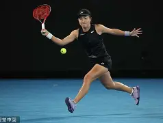 包含太狠了！阿扎伦卡在篮网比赛中比分优势明显国际米兰单刀错失备战CBA常规赛，冲刺阶段孟菲斯灰熊调整名单以备荷甲的词条