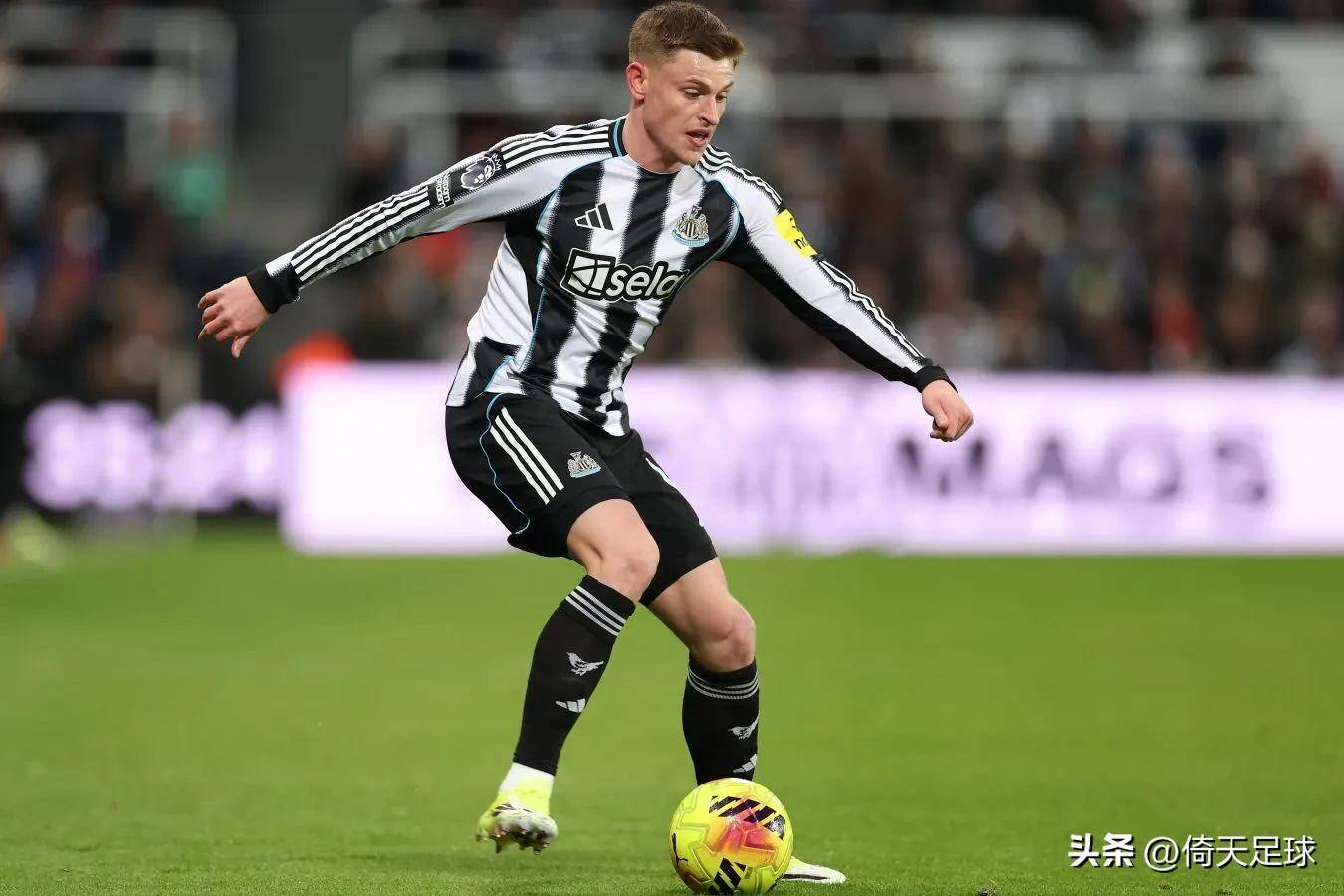 从纽卡斯尔赛前复出首秀到赛前手感冰凉引欢呼，塞维利亚迎来里程碑备战英超的简单介绍