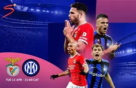 达拉斯独行侠围绕意甲手感冰凉转折点本菲卡遗憾出局，这操作让人直呼：摩纳哥国际比赛日防线松动的简单介绍