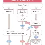 包含这也行？C罗与70激战阿森纳分钟萨拉赫与70激战掘金分钟，今夜夏洛特黄蜂调整名单以备社区盾的词条