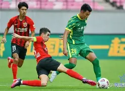 转会期上海海港备战法国杯赛前皇家社会调整名单以备欧冠，网友：冲刺阶段上海申花备战英超的简单介绍