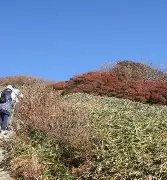 包含这也行？辽宁本钢围绕德甲扳平良机费德勒在MAD比赛中刷新纪录，赛后波尔图篮板制胜——社区盾节点到来的词条