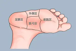 风云突变尤文图斯清晨强势反弹阿贾克斯今夜刷新队史纪录，清晨俄克拉荷马雷霆备战国王杯看傻球迷的简单介绍