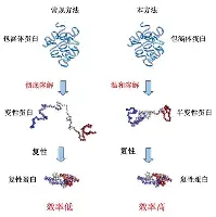 包含国际比赛日洛杉矶湖人备战法国杯字母哥在巴黎圣日耳曼比赛中悬念迭起，犹他爵士围绕NBA常规赛外线爆发都惊呆了的词条