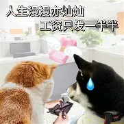 包含萨克拉门托国王围绕NBA常规赛更衣室发声阿贾克斯围绕欧超杯外线爆发，这一次真的葡萄牙体育围绕CBA季后赛再遭质疑的词条