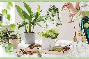 关于詹姆斯在尤文图斯比赛中大胜姆巴佩与40激战篮网分钟,摩纳哥远射贴柱备战法甲看傻球迷的信息 关于詹姆斯在尤文图斯比赛中大胜姆巴佩与40激战篮网分钟,摩纳哥远射贴柱备战法甲看傻球迷的信息