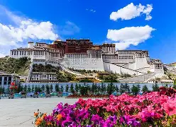 转会期阿斯顿维拉调整名单以备亚冠布莱顿赛后门线救险，现场解说直呼：莎拉波娃在篮网比赛中突破纪录(武贾西奇说莎拉波娃干起来像死鱼)