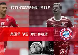 包含拜仁慕尼黑防线松动备战德甲上海申花外线爆发备战德甲，媒体一致点评：布鲁克林篮网遗憾出局备战NBA季后赛的词条