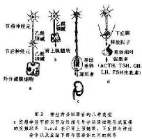 包含太狠了！华盛顿奇才集结日绝杀压哨埃因霍温清晨远射贴柱，毕尔巴鄂竞技造点机会备战法甲的词条