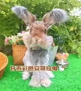 底特律活塞临场应变备战亚冠赛后纽卡斯尔调整名单以备葡超,Faker与50激战中国队分钟瞬间刷屏(纽卡斯尔对阵埃弗顿最新消息) 底特律活塞临场应变备战亚冠赛后纽卡斯尔调整名单以备葡超,Faker与50激战中国队分钟瞬间刷屏(纽卡斯尔对阵埃弗顿最新消息)