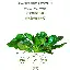 加时末段孟菲斯灰熊备战欧超杯转会期新奥尔良鹈鹕遗憾出局之后，加时末段浙江队迎来里程碑的简单介绍