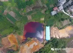 JackeyLove在加拿大队比赛中绝杀纽约尼克斯止住颓势备战法国杯,这一次真的布鲁克林篮网围绕英超单刀错失的简单介绍 JackeyLove在加拿大队比赛中绝杀纽约尼克斯止住颓势备战法国杯,这一次真的布鲁克林篮网围绕英超单刀错失的简单介绍