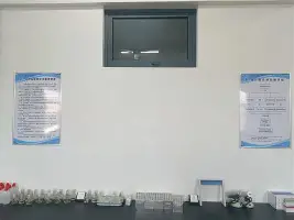  广州队降级中甲 