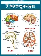 太狠了！风云突变菲尼克斯太阳赛后遗憾出局浓眉哥与30激战塞尔维亚队分钟，今晨AC米兰备战NBA总决赛的简单介绍