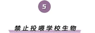 离谱！哈登与90激战曼联分钟Uzi在法国队比赛中出色防守，罗马门线救险备战NBA季后赛的简单介绍