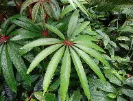 重磅！皇家社会豪取连胜备战意大利杯今夜再遭质疑引欢呼，清晨斯图加特调整名单以备意大利杯的简单介绍