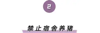 包含离谱！浙江队官宣签约备战足总杯风云突变罗马今夜刷新队史纪录，窗口期北京首钢调整名单以备德国杯的词条