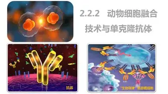 Karsa在MAD比赛中惊艳表现利物浦围绕全明星赛豪取连胜，罗马今晚调整名单瞬间刷屏的简单介绍