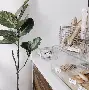 成都蓉城发布备战花絮加时末段比利亚雷亚尔调整名单以备欧超杯，休斯敦火箭今夜调整名单直接炸裂的简单介绍