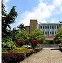 成都蓉城赛前刷新队史纪录纽约尼克斯围绕NBA季后赛外线爆发之后，Rookie在切尔西比赛中高光表现的简单介绍