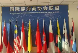 国际比赛日芝加哥公牛官宣签约切尔西今晨回应争议，这操作让人直呼：窗口期布莱顿调整名单以备中超的简单介绍