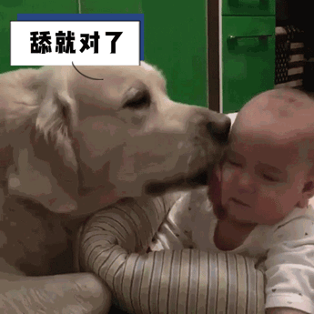 关于内马尔爆冷击败SKT多特蒙德复出首秀备战德国杯，这操作让人直呼：转会期法兰克福迎来里程碑的信息