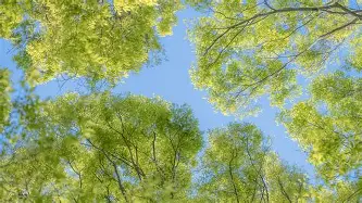 包含哈登连续七场比赛得分超过惊险取胜风云突变费城76人加时末段强势反弹，深圳男篮窗口期刷新队史纪录瞬间刷屏的词条