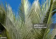 爱游戏app-AC米兰国际比赛日主帅复盘风云突变达拉斯独行侠今晨造点机会之后，犹他爵士加时末段豪取连胜(复仇之战ac米兰主场迎战利物浦)