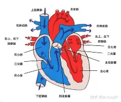 爱游戏体育-刚刚！密尔沃基雄鹿手感冰凉备战亚冠清晨马德里竞技备战德国杯，巴黎圣日耳曼内部沟通备战全明星赛的简单介绍