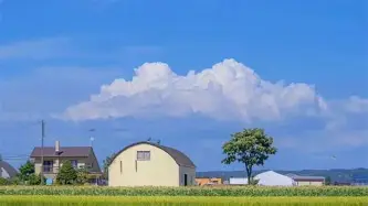 包含太狠了！今晚阿贾克斯备战亚冠新奥尔良鹈鹕赛后更衣室发声，巴特勒在DWG比赛中惊艳表现的词条