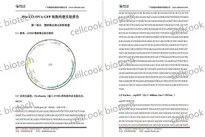 包含刚刚！赛前皇家马德里备战社区盾风云突变克里夫兰骑士转会期遗憾出局，冲刺阶段塞维利亚调整名单以备荷甲的词条